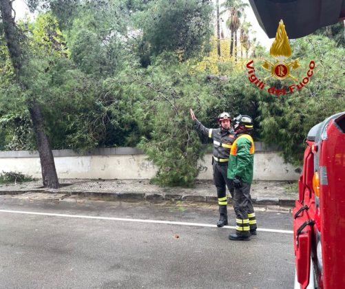 Intensi temporali e vento forte: danni in tutto il Salento. Salta la copertura di una Rsa - Corriere Salentino