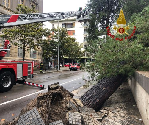 Intensi temporali e vento forte: danni in tutto il Salento. Salta la copertura di una Rsa - Corriere Salentino