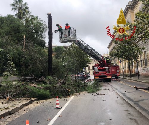 Intensi temporali e vento forte: danni in tutto il Salento. Salta la copertura di una Rsa - Corriere Salentino
