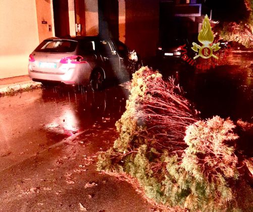 Intensi temporali e vento forte: danni in tutto il Salento. Salta la copertura di una Rsa - Corriere Salentino