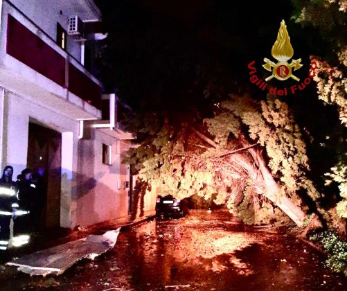 Intensi temporali e vento forte: danni in tutto il Salento. Salta la copertura di una Rsa - Corriere Salentino