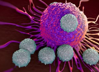 “Le infiammazioni croniche scatenate dalla cattiva alimentazione, dall’abuso di farmaci, proteine o vitamine ci espongono anche a rischi oncologici e cardiologici”. I consigli del nutrizionista Montinaro