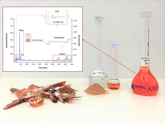 Valorizzazione degli scarti dell’industria ittica, nuove ricerche del gruppo di Chimica Fisica del Dipartimento di Scienze e tecnologie biologiche e ambientali Unisalento - Corriere Salentino