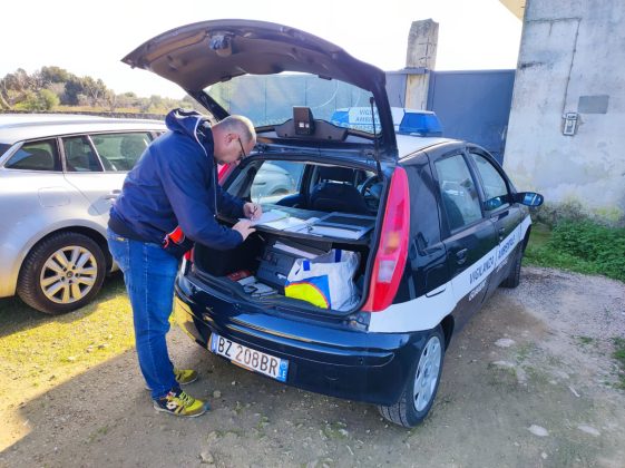 Cani chiusi in box tra feci e fango senza acqua né cibo: sequestrato canile abusivo. Nei guai 80enne - Corriere Salentino
