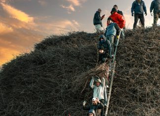 “Palpiti popolari. Radici sacre e Fuochi profani”, domani l’accensione della Fòcara di Novoli
