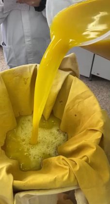 Venerdì 3 febbraio al Deledda di Lecce si studia la produzione di colori naturali - Corriere Salentino