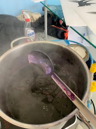 Venerdì 3 febbraio al Deledda di Lecce si studia la produzione di colori naturali - Corriere Salentino