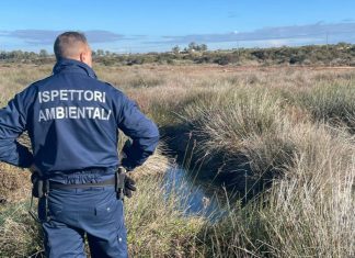 145 sanzioni per oltre 25 mila euro, il bilancio 2022 degli ispettori ambientali di Nardò