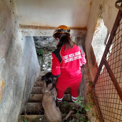 Esce da casa e sparisce nel nulla: ricerche a tappeto - Corriere Salentino