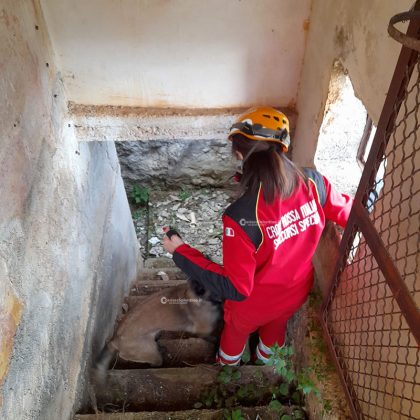 Esce da casa e sparisce nel nulla: ricerche a tappeto - Corriere Salentino