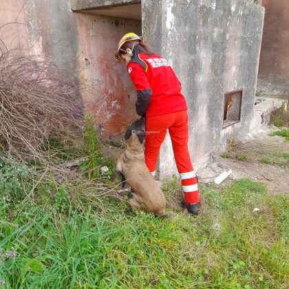 Esce da casa e sparisce nel nulla: ricerche a tappeto - Corriere Salentino