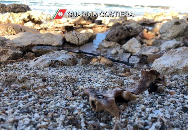 Il mare restituisce tombe e resti umani dell'Età del Bronzo: al via gli scavi sulla costa ionica - Corriere Salentino