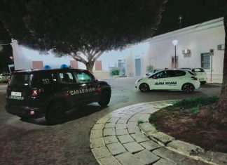 Entra in macelleria per rubare, vigilanti e carabinieri circondano il locale e finisce in manette