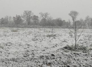 Morsa di gelo e neve in campagna, strade bloccate e verdure bruciate in campo