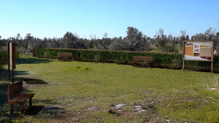 Bioparco apistico a Rauccio, parte la campagna di raccolta fondi di APIS - Corriere Salentino