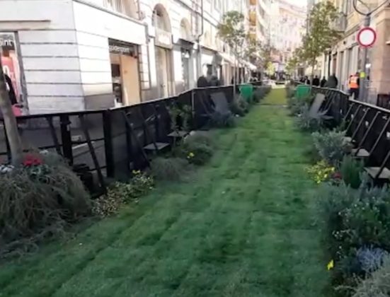 Il Festival di Sanremo si tinge di verde: torna il Green Carpet - Corriere Salentino