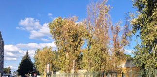 Home - Corriere Salentino