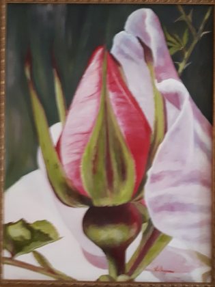 Salento a pArte: Anna Ingrosso, la pittrice delle rose - Corriere Salentino