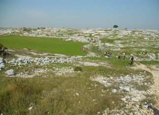 “Un Tè con il Parco”: il Parco Otranto- Leuca si racconta alla comunità