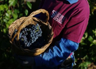 Il Consorzio del Salice Salentino in viaggio verso il ProWein di Dusseldorf