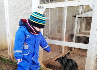 In Puglia le fattorie sociali potranno gestire agri-nido e agri-asili