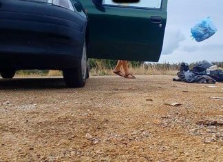 Incastrati e multati con le fototrappole 100 sporcaccioni