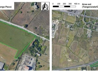 Forestazione urbana: finanziati con 350mila euro gli interventi a Borgo Pace e nel quartiere Stadio