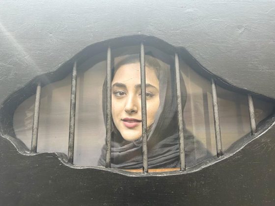 “Donna, vita, libertà”: inaugurata nell’atrio di Palazzo dei Celestini “Mahsa” l’opera artistica itinerante voluta da provincia e Cpo - Corriere Salentino