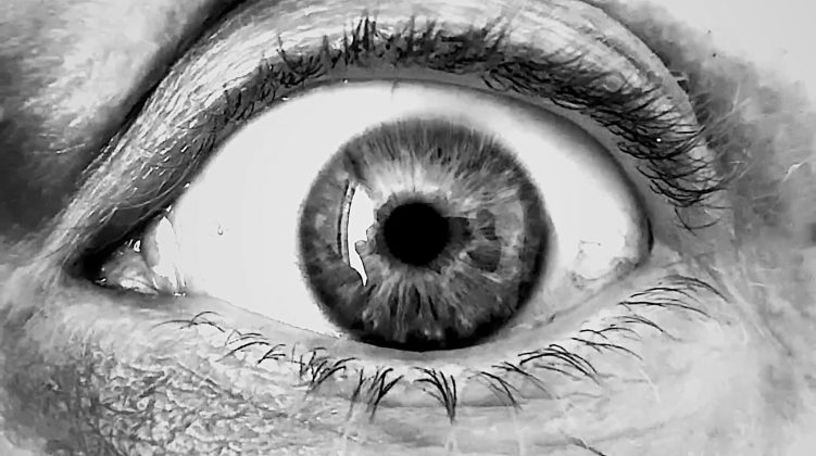 Dall'8 marzo al 10 aprile il MUST di Lecce ospita il capitolo finale di #LASCIAMIANDARE il progetto di Monica Marioni - Corriere Salentino