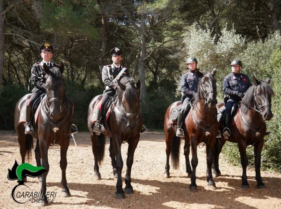 Inaugurato il nuovo Centro visitatori della riserva statale San Cataldo - Corriere Salentino