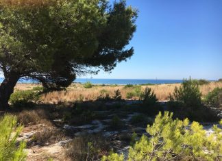 Benedetta primavera! Assente al suo “primo” appuntamento, ma già a maggio ci sarà l’anticiclone africano