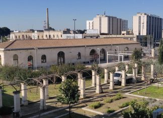 Dantedì 2023: viaggio multimediale fra le essenze citate nella Divina Commedia presenti nel giardino di OgniBene