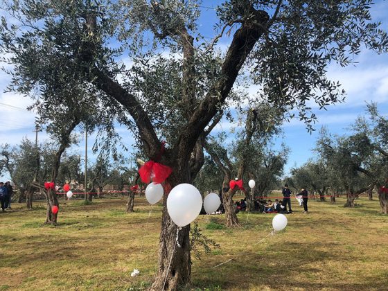 Inaugurato a Martano l'Uliveto della Memoria dedicato alle vittime di femminicidio - Corriere Salentino