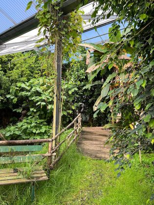 A Calimera tornano le farfalle. Apre il Mesocosmo al Museo di Storia Naturale da domenica 2 aprile - Corriere Salentino