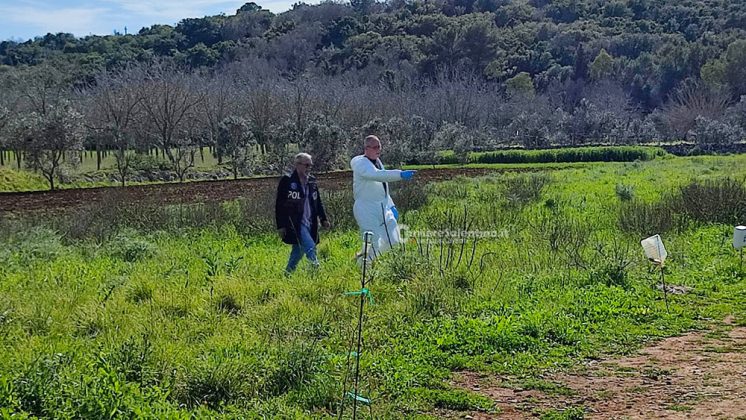 Cadavere di un anziano in un pozzo, il fratello fermato per omicidio: lo avrebbe colpito con un bastone durante una lite - Corriere Salentino