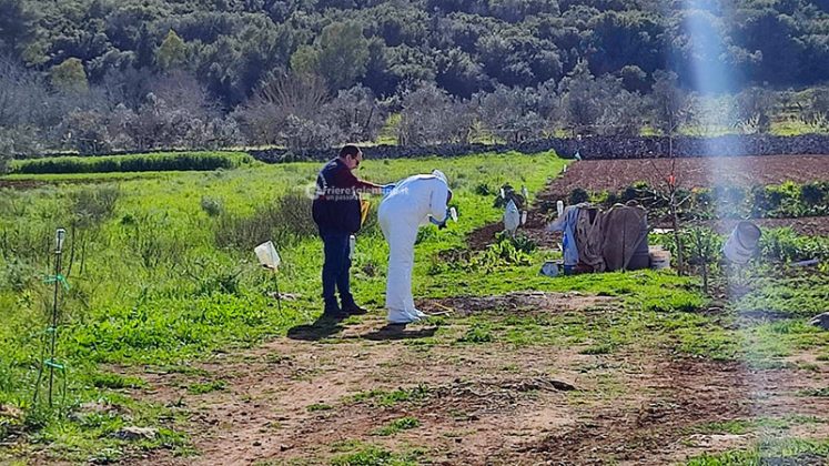 Cadavere di un anziano in un pozzo, il fratello fermato per omicidio: lo avrebbe colpito con un bastone durante una lite - Corriere Salentino