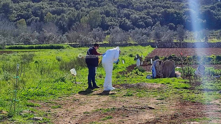 Cadavere di un anziano in un pozzo, il fratello fermato per omicidio: lo avrebbe colpito con un bastone durante una lite - Corriere Salentino