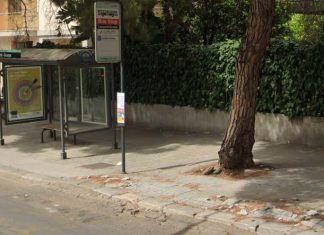 Riqualificazione ecologica della circonvallazione e dei viali storici: la giunta approva i progetti definitivi