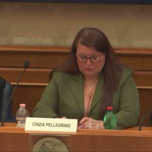 Un’altra salentina in Parlamento: Cinzia Pellegrino, di Nociglia, subentra al defunto Andrea Augello. “Da salentina doc non dimenticherò il nostro amato sud“ - Corriere Salentino