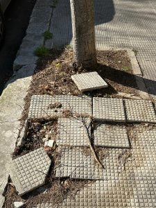 Gianmaria Greco : "Marciapiedi sconnessi in via De Donno. Il comune intervenga subito" - Corriere Salentino