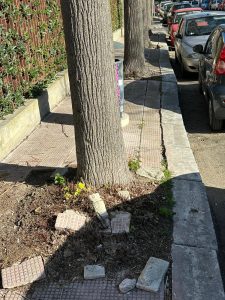 Gianmaria Greco : "Marciapiedi sconnessi in via De Donno. Il comune intervenga subito" - Corriere Salentino