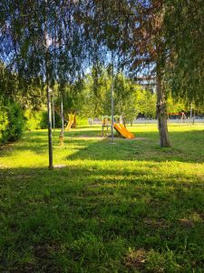 Il Movimento Sveglia dice “no” all'apertura della viabilità tra Via Bonifacio e Via Pozzuolo e chiede di fissare il limite dei 30 km orari - Corriere Salentino