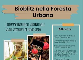 “Earth Day” 2023: due iniziative di Unisalento Il 21 aprile incontro su “Il sustainability management nelle piccole e medie imprese”. Il 22 aprile “Bioblitz” nella “Foresta urbana”