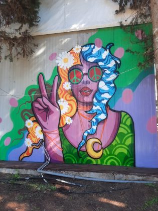 Parco Gondar: il 25 aprile una mostra a cielo aperto per il primo grande evento del 2023 - Corriere Salentino