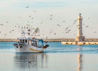 Fermo pesca in Adricatico da Manfredonia a Bari fino al 29 settembre