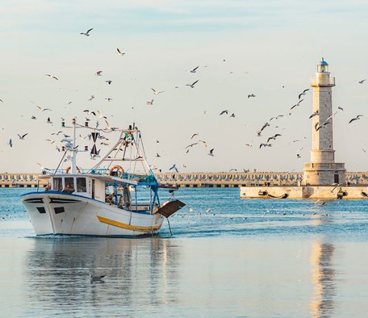 Pesca, difendere il pesce azzurro da surriscaldamento del mare e valorizzare il pescato a miglio zero