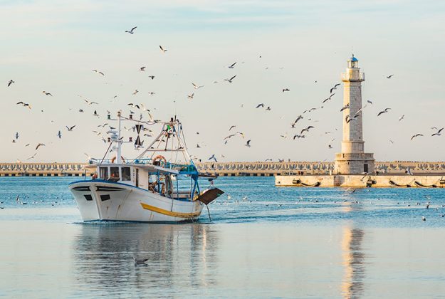 Puglia Fish & Wine: dal mare alla tavola - Corriere Salentino