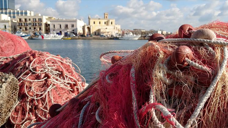 Puglia Fish & Wine: dal mare alla tavola - Corriere Salentino