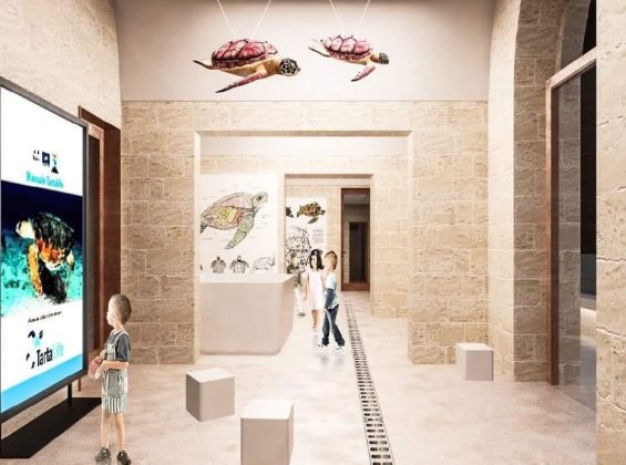 Centro tartarughe marine a Frigole: approvato il progetto definitivo - Corriere Salentino