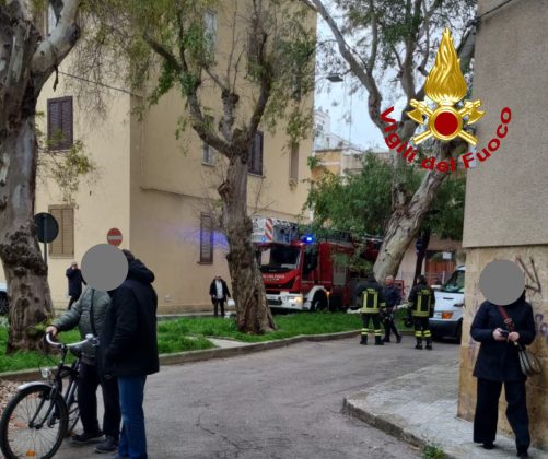 Vento in rinforzo, cade un grosso albero nelle vicinanze della scuola: danneggiata un'auto - Corriere Salentino